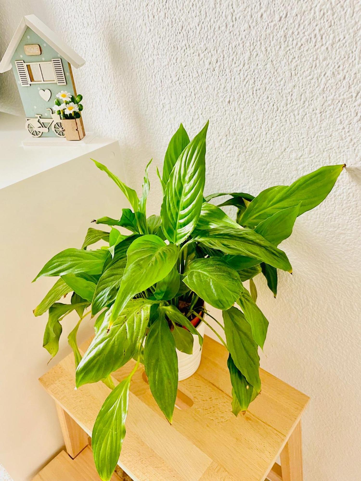Precioso Apartamento Playa Pinedo Valencia Kültér fotó